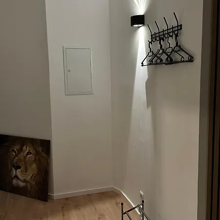 Live To Lion * Brunswick