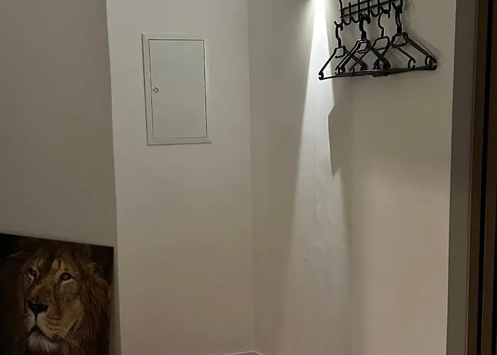 Live To Lion * Braunschweig